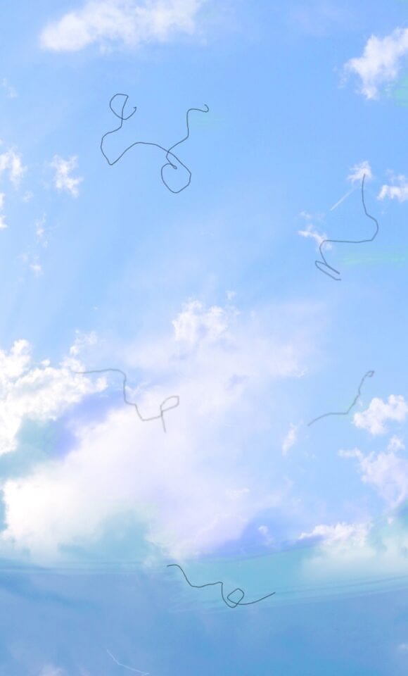 Example of what floaters look like to the viewer through their eyes