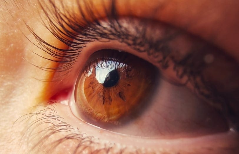 Close up brown eye and iris relating to Vitreous Retinal at Sapphire Eye Care